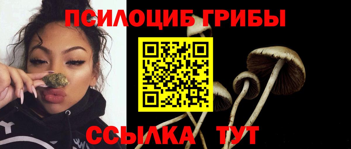 Галлюциногенные грибы мицелий  Вход с VPN  Киреевск 